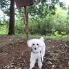 犬連れ週末日帰りドライブ【雪入ふれあいの里公園】【三ツ石森林公園】茨城県かすみがうら市