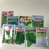 秋野菜の種播き準備をしました。