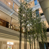 Fall is in the air！/ Art&Architecture＃492