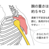 【肩こり解消】肩甲骨は胴体から浮いてる？肩のしくみを知って、肩こりを治せる力をつけよう