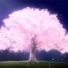 自分の健康は自分で守る✨