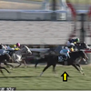 レクセランス　万葉ステークスで2着