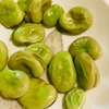 そら豆の食べ方の正解