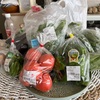 夏野菜ももうすぐ終わりかな？