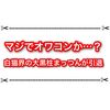 【悲報】白猫プロジェクト界隈の大物YouTuberまっつんが引退へ… マジで白猫やばくないか？