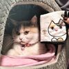 「ANA SUI」と「パステル三毛猫」とねこキャラ