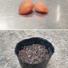 庭のものとか