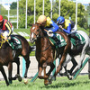 競馬初心者必見☆馬券予想🔥〜鳴尾記念〜競馬場が変わっても好走必至！？