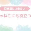 【テレパシー】ぶにゃねこには役に立たない格言