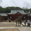 神戸生田神社でお参り