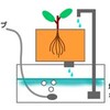 ナナフシ愛好家のための水耕栽培入門（3）：pH（ペーハー）