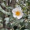 言葉で伝えることは、再確認にすぎないかもしれないが、それは安心感を生む大切なこと。