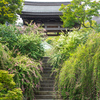 鎌倉「海蔵寺」