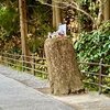 夢あふれサンタクロース高尾山