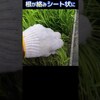 【農業DIY】苗を田植機にセット！意外に苦戦します #diy #米作り #農業初心者