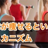 理屈を知るとその効果も変わるダイエットの仕組み