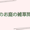 2度目の電気虫と雑草