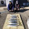 竜宝丸　釣行会　安城店　イワシの泳がせ釣り　青物爆釣!!