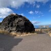 富士山から飛んできた？