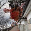 福知山城に登ってきました