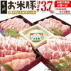 今年のふるさと納税のお話。