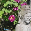 「不両舌」のお話①～二枚舌、裏切りの心～「法の水茎」52