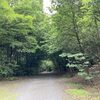 2度目の平和公園一万歩コース