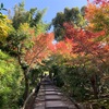 高台寺&リストランテキメラ/京都　高台寺