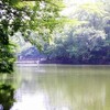 薄幸系とラブコメの軍配は？