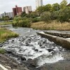 仙台での濃い半日