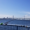 釣れない横浜港の短時間釣行(第3回　3/14)