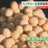 大豆で作る植物肉｢ミラクルミート｣ 開発するベンチャー企業