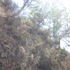 超絶？ フルバリエーション登山春。乃参