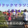 メドックマラソンには個人参加がおすすめ　～大会前日の流れ～