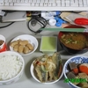 今日の晩飯