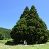 夏の喪失感とホームシック？