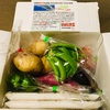 【ふるさと納税】高知県室戸市 返礼品 野菜ミニセット（お米つき）