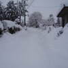 　カブトムシの幼虫、また雪