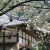 三岳寺が立入禁止に