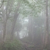 土岳　霧風景