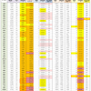 新型コロナウイルス、都道府県別、週間対比・感染被害一覧表 （ 2022年 8月19日現在 ）