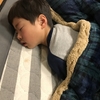 我が家にコタツがやってきた