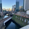 神田川を散歩してみました⑨
