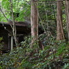 寒露の加持ヶ峰遊山　落ち葉