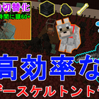 マイクラ1 16 超高効率なウィザースケルトントラップ 作り方解説 手動自動切替化 Minecraft High Efficient Afk Wither Skeleton Farm マインクラフト じゃがいもゲームブログ マイクラ1 16 超高効率なウィザースケルトントラップ 作り方解説 手動自動切替化 Minecraft High Efficient Afk Wither Skeleton Farm マインクラフト じゃがいもゲームブログ