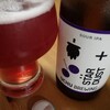 クラフトビールが飲みたい❗うちゅうブルーイング四連発　STAR DUST 