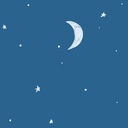 おとなしい夜