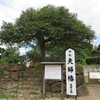 松江「八重垣神社」の連理玉椿と「阿太加夜神社」「揖屋神社」の椿を訪ねる