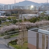 退院　　ヤスパース『哲学入門』