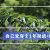 自己受容を１年間続けてみた結果　HSPの方におすすめ